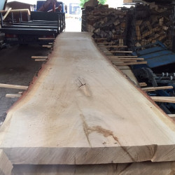 Neu im Sortiment: 50 cm breite Eiche für Tischplatten und Waschtische!